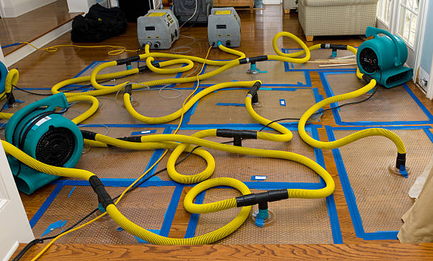 Professional Water Damage Repair technician working in Midway, FL